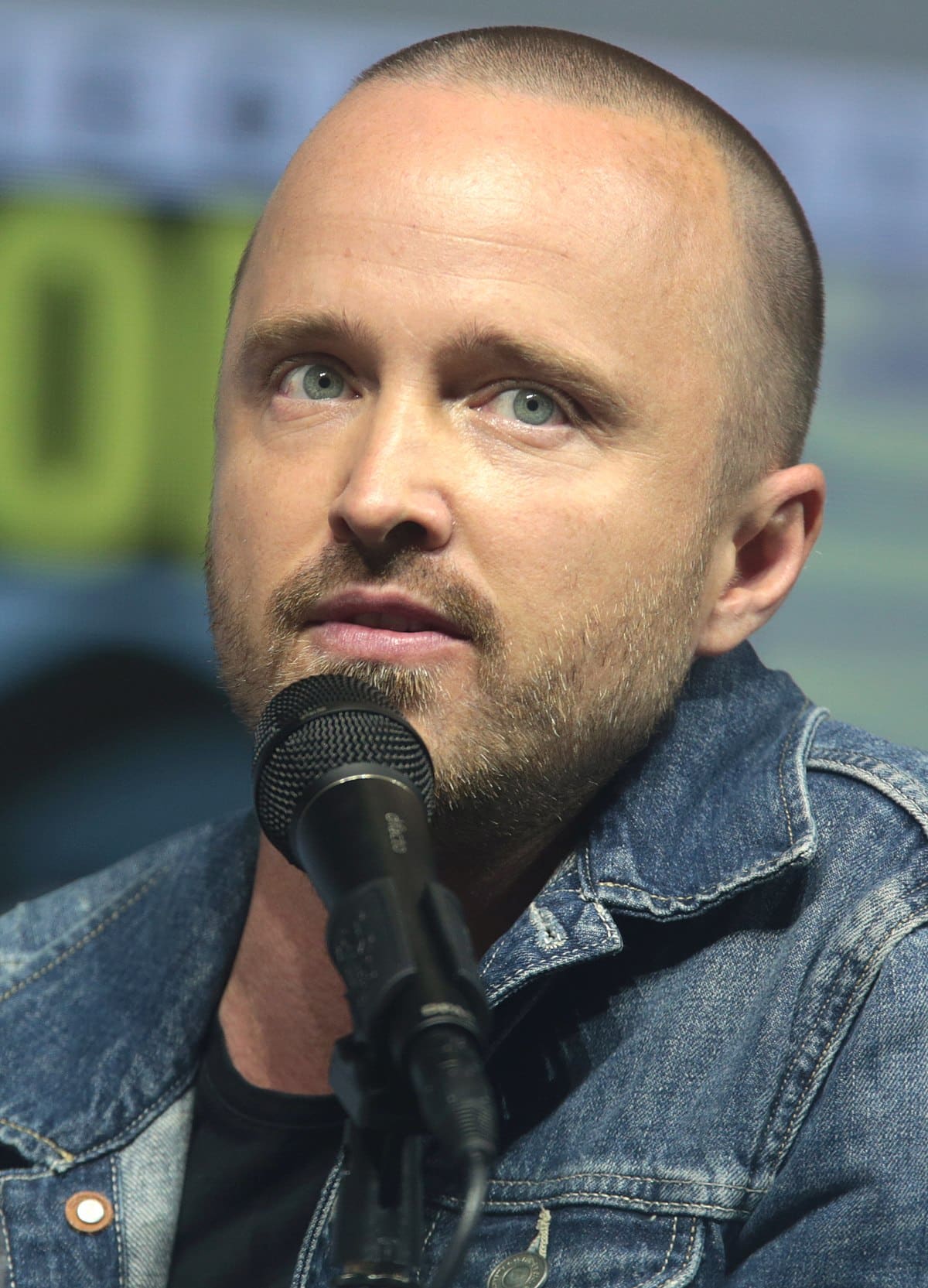 Aaron Paul Height, Age, Body Measurements, Wiki | CELEBRITIES BODY SIZE